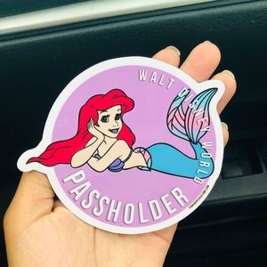 Custom Disney annual pass magnet